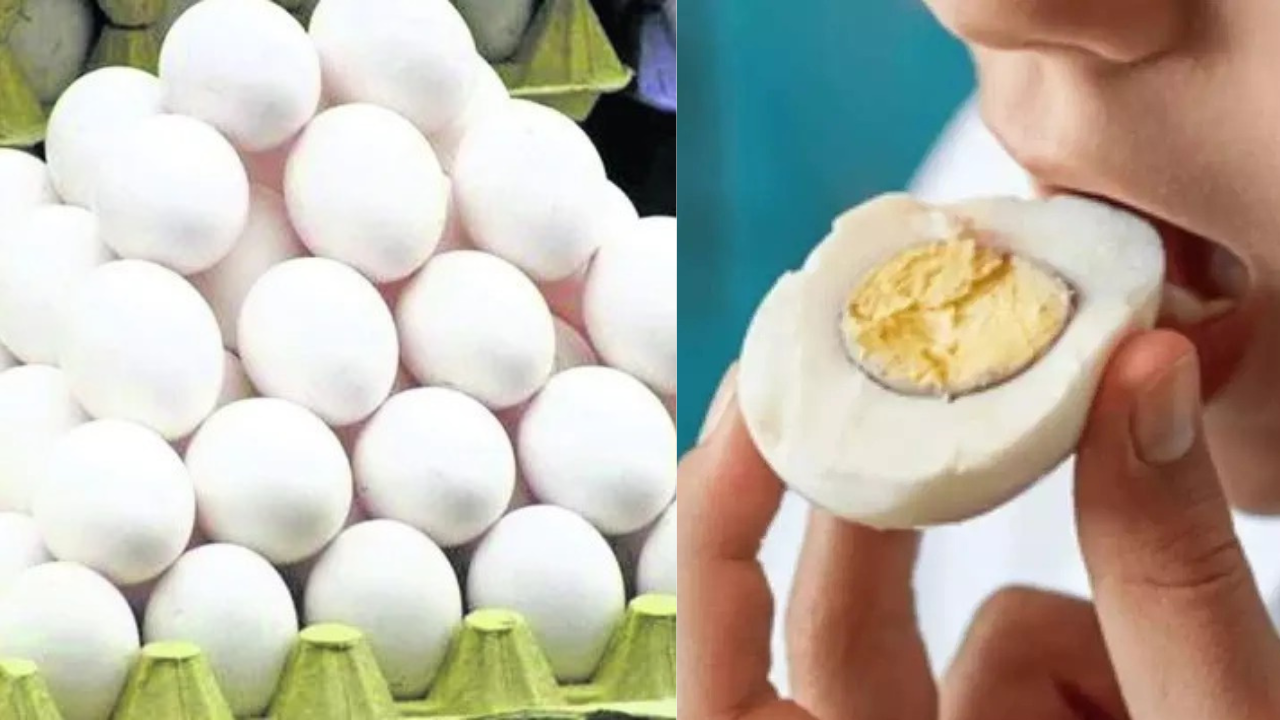 Egg Price