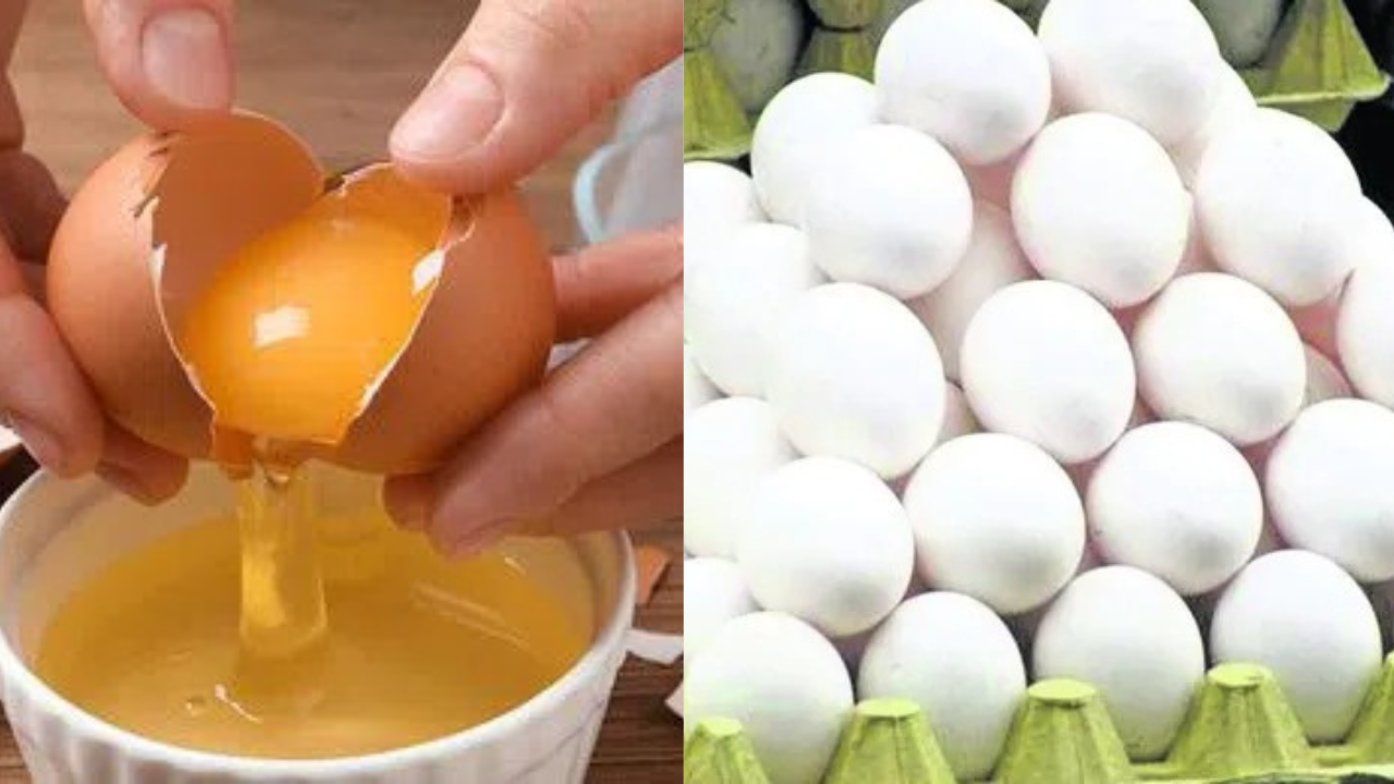 Egg Price