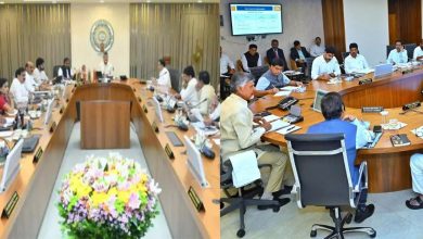 AP Cabinet