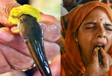 Chepa Prasadam