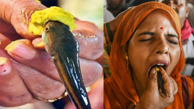 Chepa Prasadam