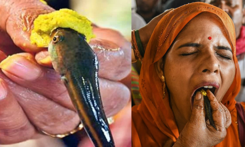 Chepa Prasadam