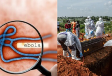 Ebola Virus
