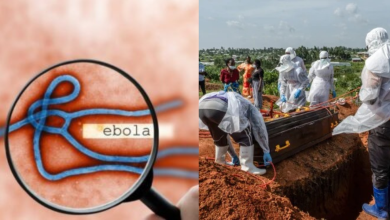 Ebola Virus