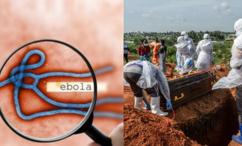 Ebola Virus