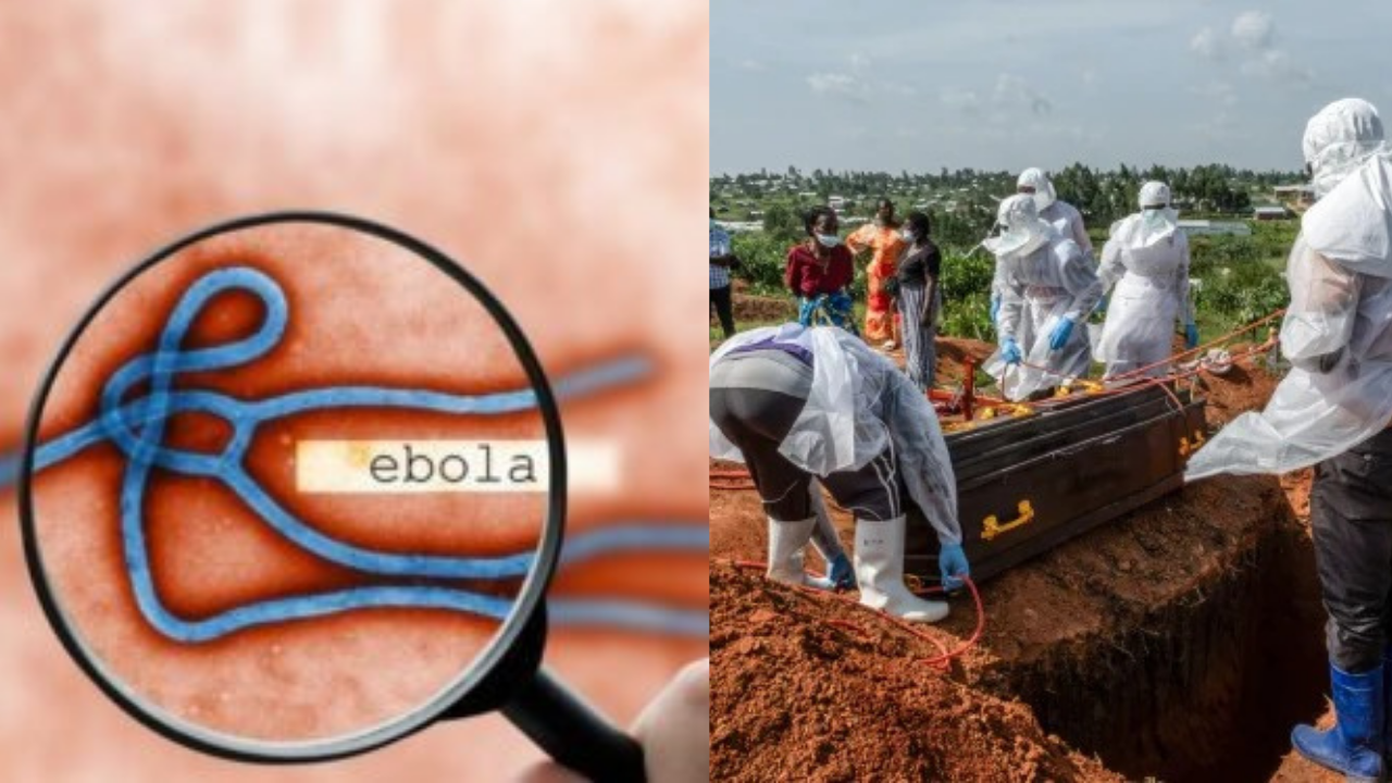 Ebola Virus