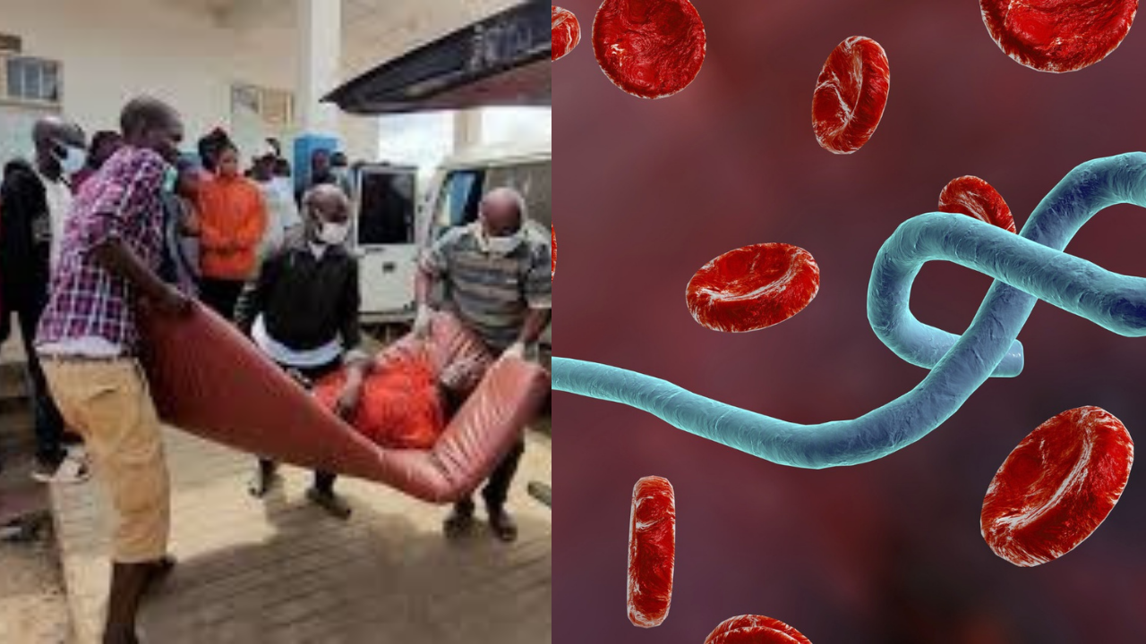 Ebola Virus