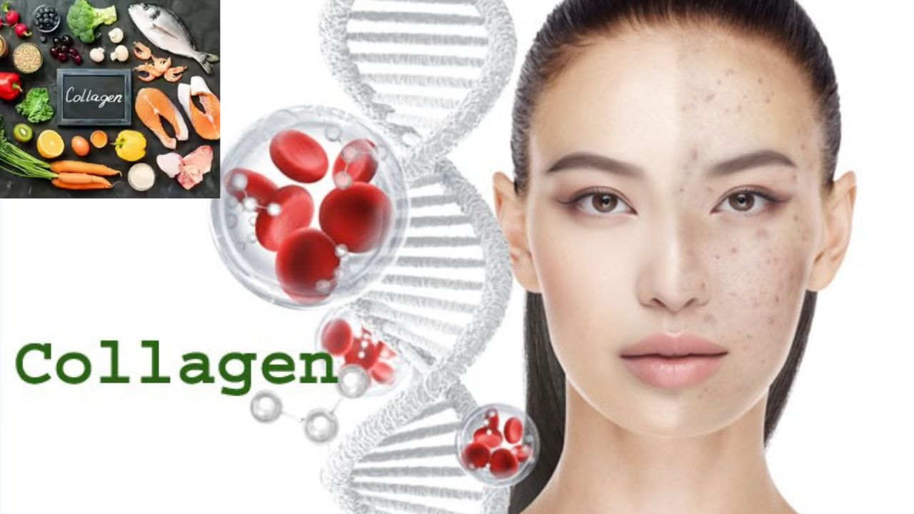 Collagen