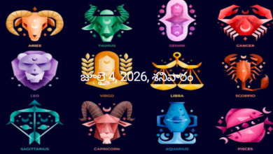Rashi Phalalu
