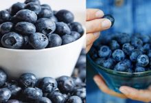 Blueberries