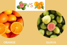 Vitamin C
