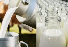 Non-Veg Milk