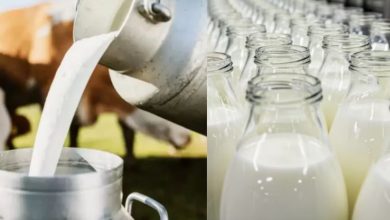 Non-Veg Milk