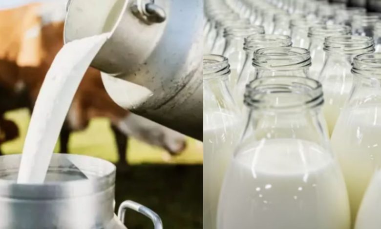 Non-Veg Milk