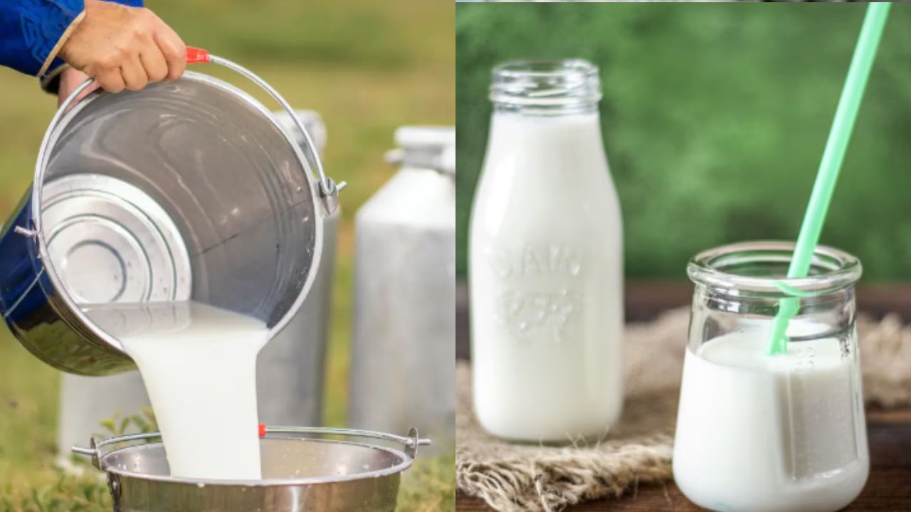 Non-Veg Milk