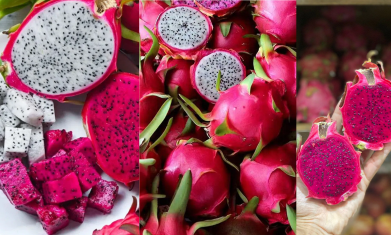 Dragon Fruit