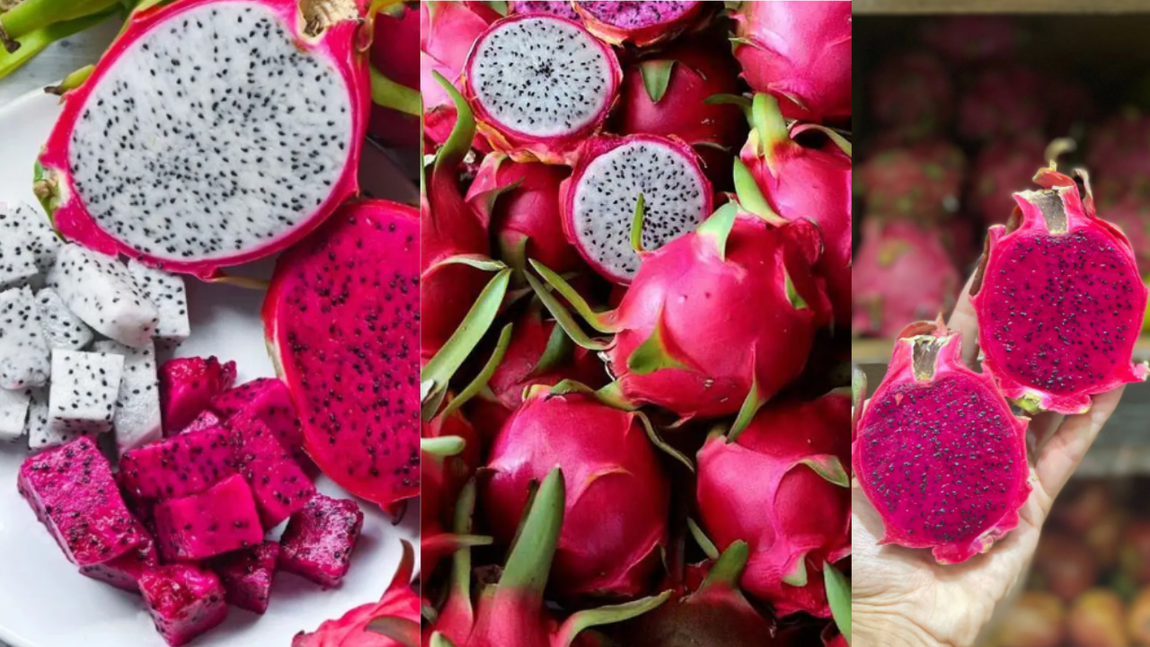 Dragon Fruit