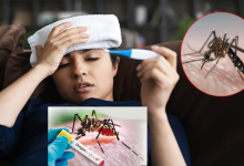 Dengue