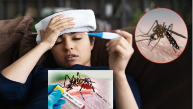 Dengue