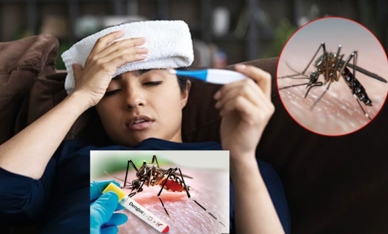 Dengue