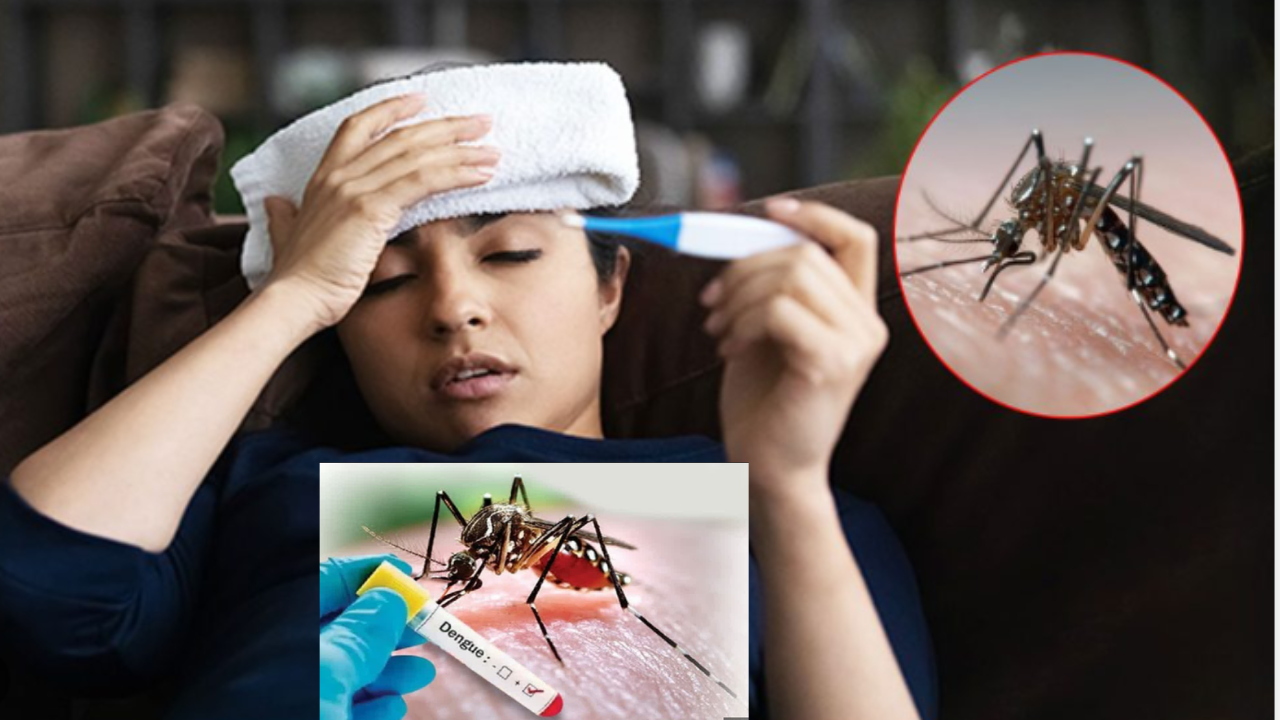 Dengue