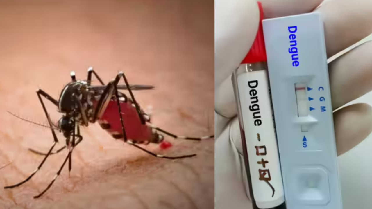 Dengue