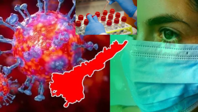 Carona Virus