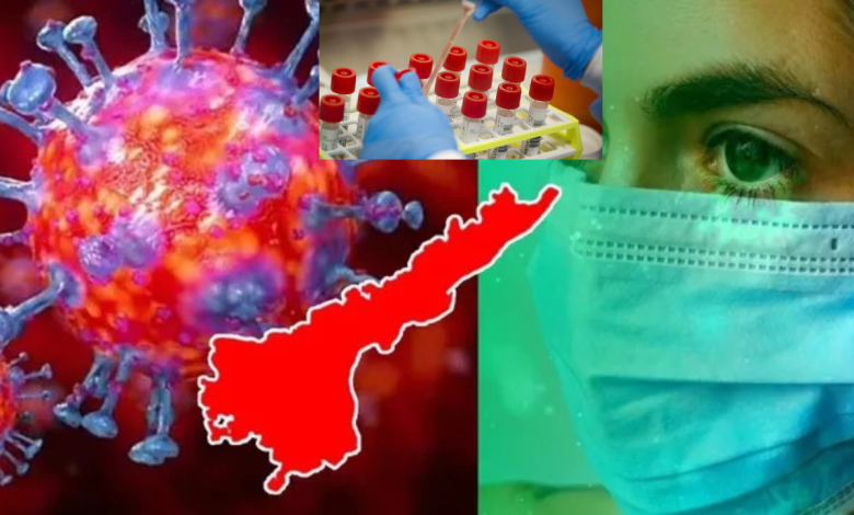 Carona Virus