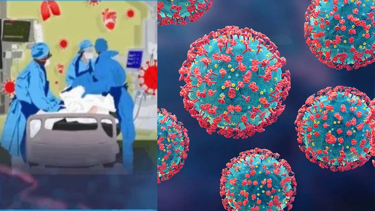 Carona Virus