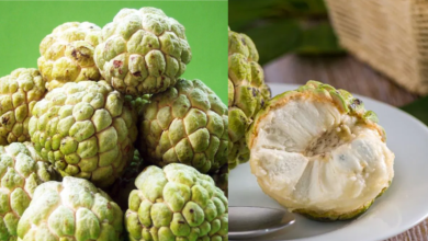 Custard Apple