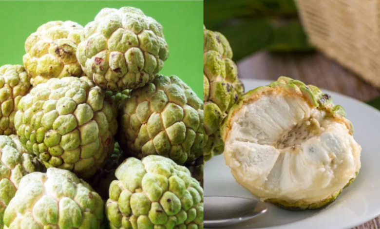 Custard Apple
