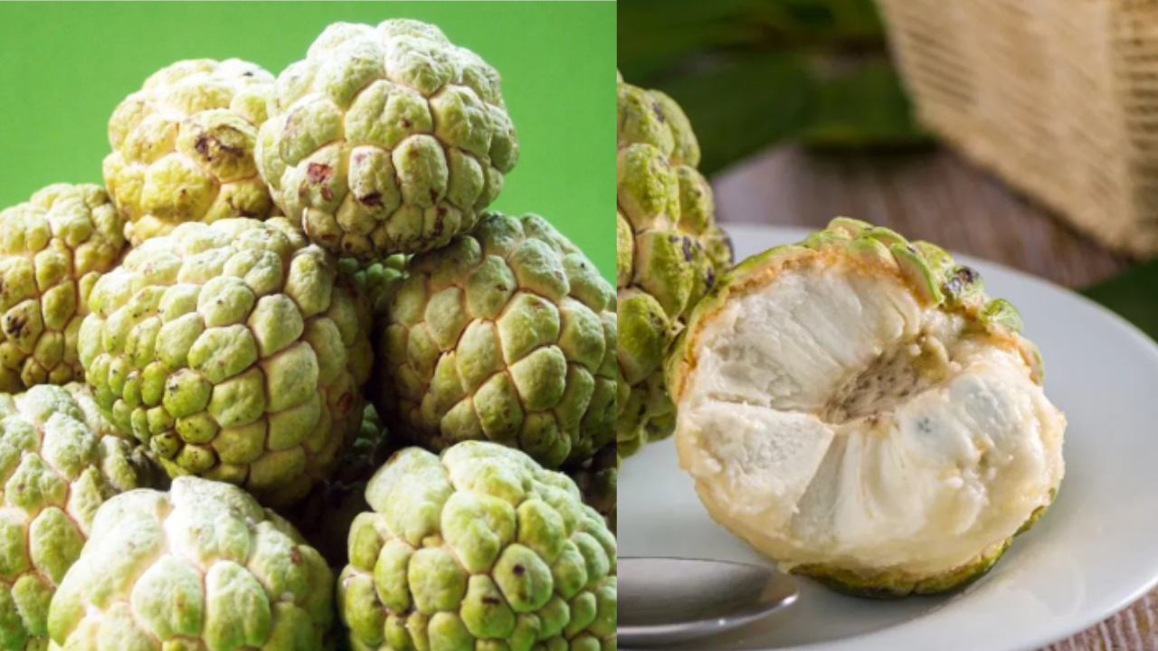 Custard Apple