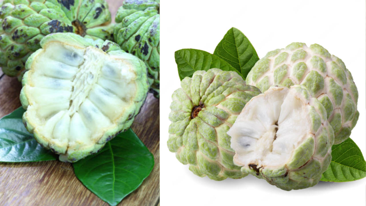 Custard Apple
