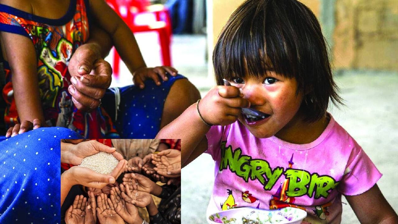 India Nutrition
