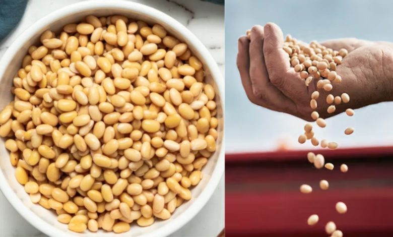 Soya Beans