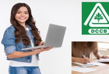 Bank Jobs