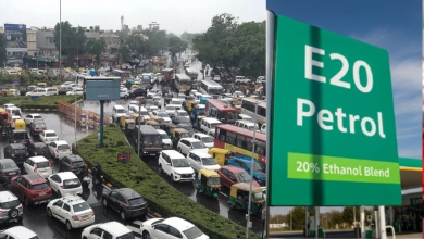E20 Petrol