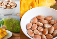 Jack Fruit