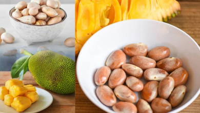 Jack Fruit