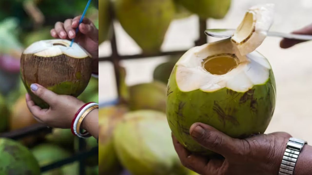 Coconut Water
