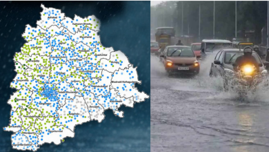 Rain Alert