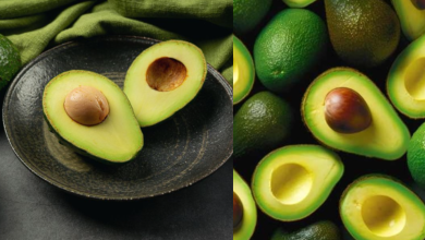 Avocado