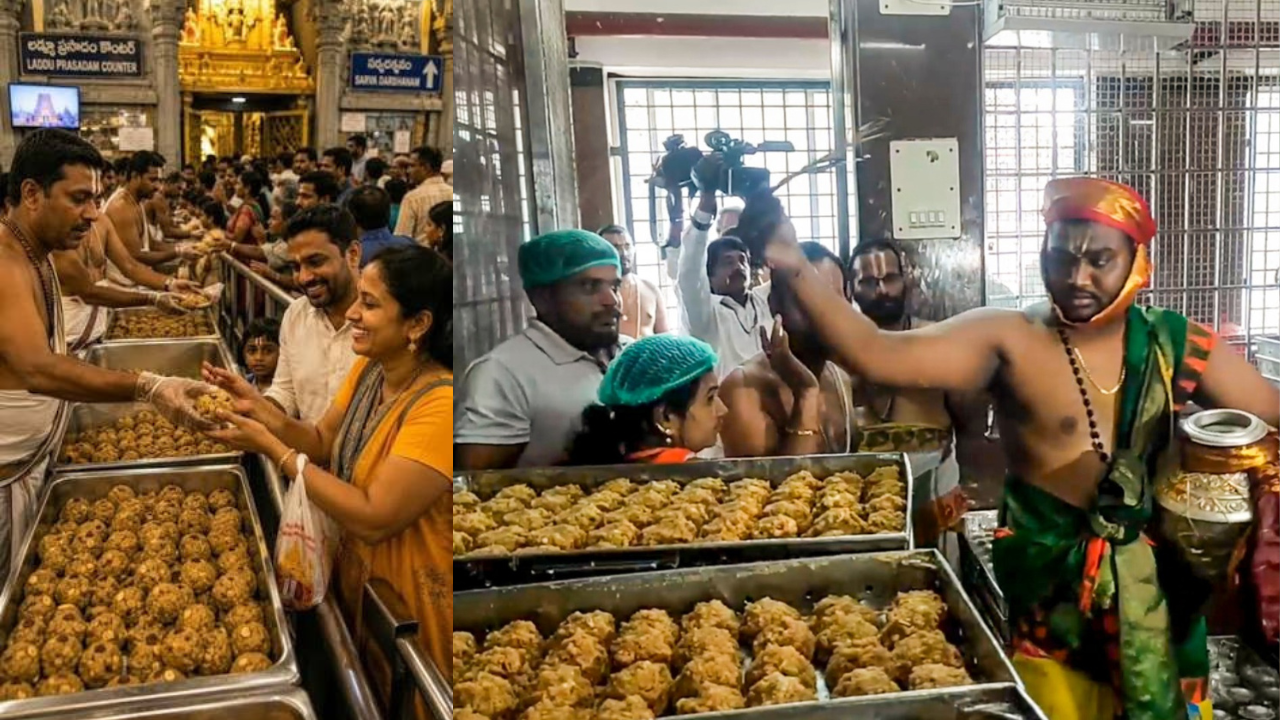 Tirumala Laddu