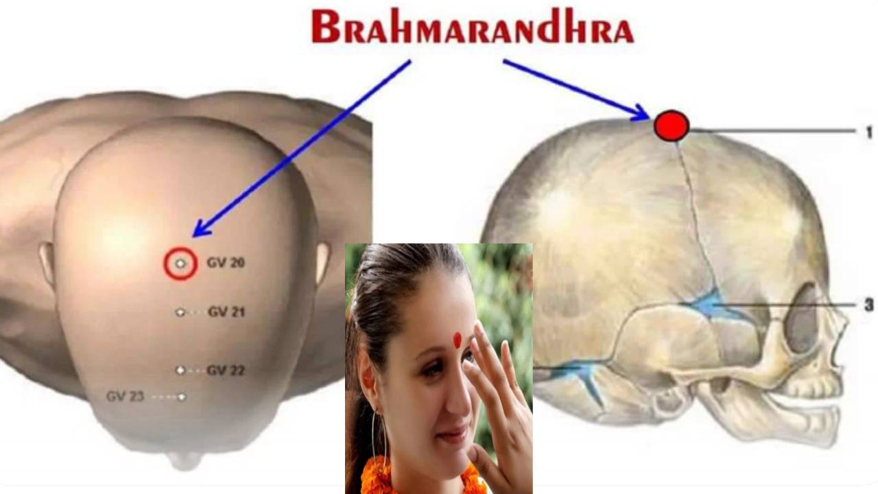 Ajna Chakra vs Brahmarandhra