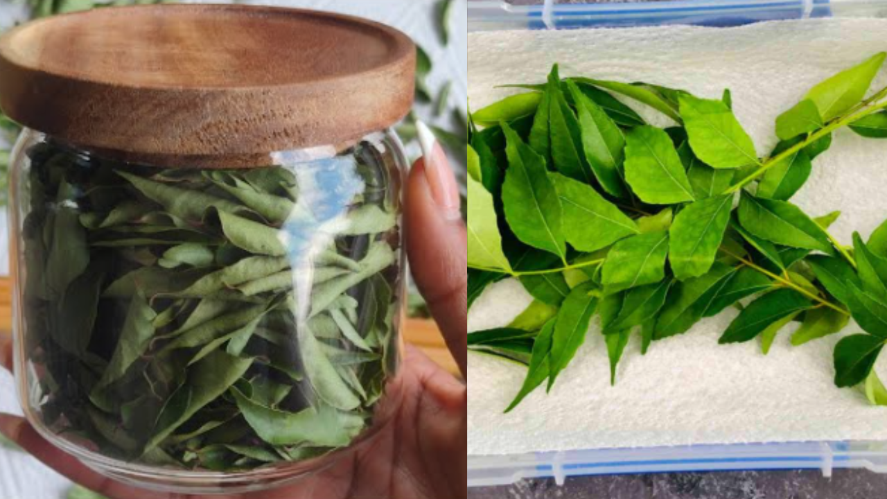 Curry Leaves