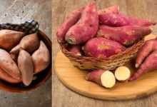 Sweet Potato