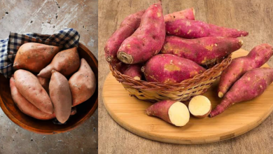 Sweet Potato
