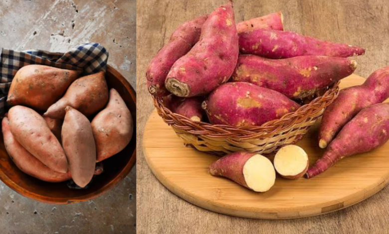 Sweet Potato