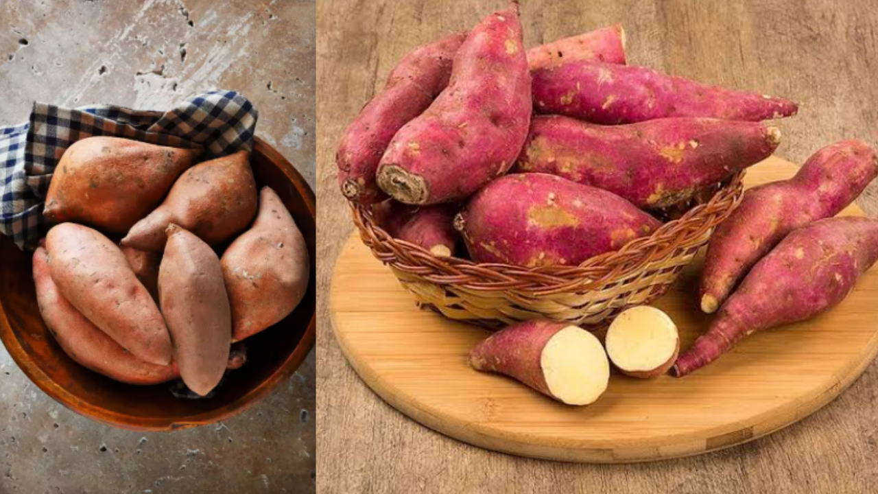 Sweet Potato