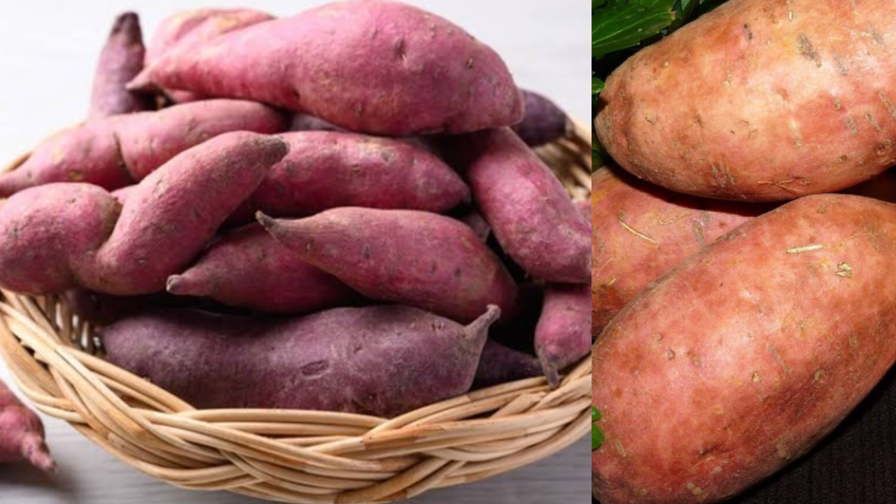 Sweet Potato